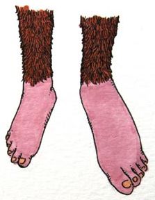 legs of chewbacca