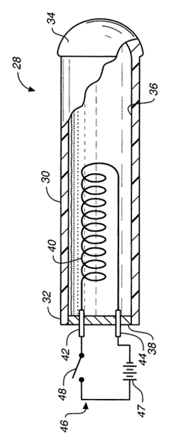 schematic view