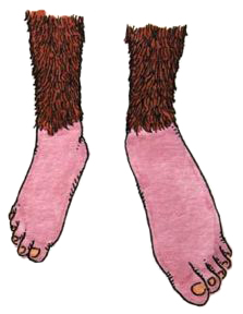 legs of chewbacca