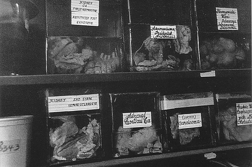 David Lynch Art //chewbakka.com