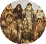 wookie-%d1%81%d0%b5%d0%bc%d0%b5%d0%b9%d1%81%d1%82%d0%b2%d0%be-%d1%87%d1%83%d0%b1%d0%b0%d0%ba%d0%ba%d0%b8